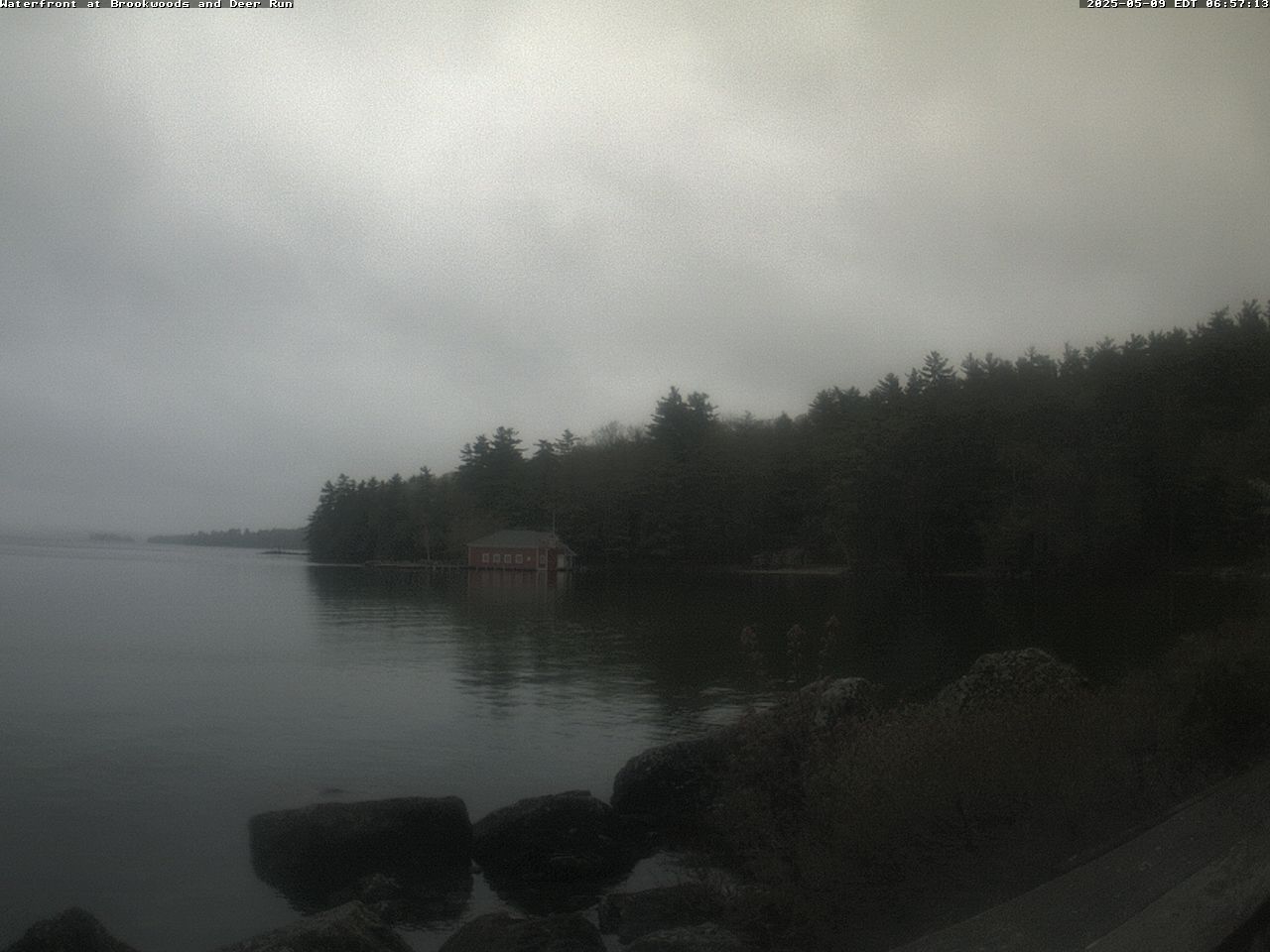 Camera Live Image